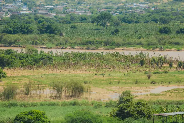 İçinden nehir akan yemyeşil bir tarla. Nehir suyla dolu ve çimenler yeşil.