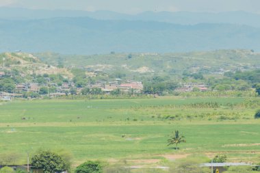 Büyük bir tarla, birkaç ağaç ve uzakta küçük bir ev. Gökyüzü açık ve güneş parlıyor.