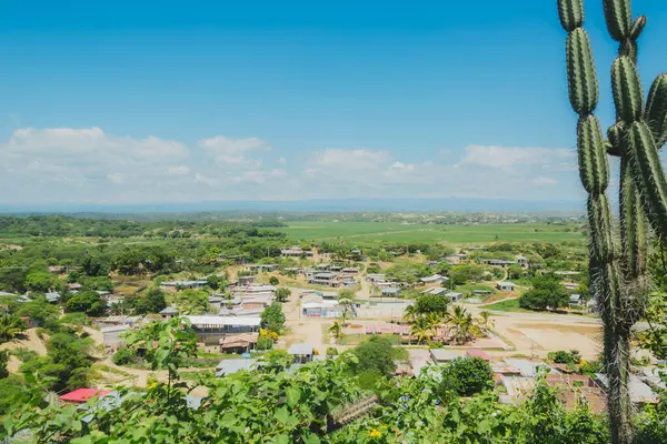Arka planda birkaç evi ve kaktüsü olan küçük bir kasaba. Kaktüs uzundur ve çok fazla yaprağı vardır.