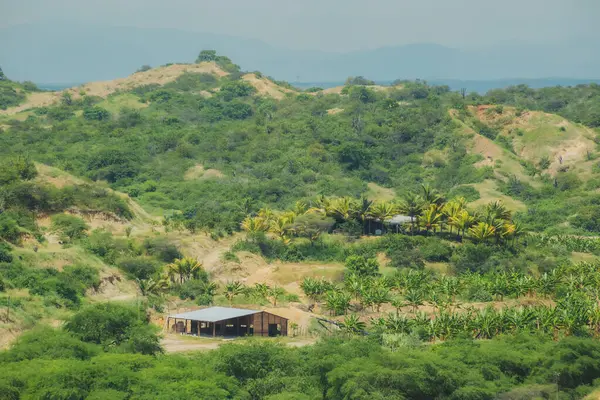 Küçük bir evi ve birkaç muz ağacı olan yemyeşil bir yamaç. Sahne huzurlu ve sakin, arka planda dağlar sükunet duygusunu artırıyor.