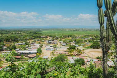 Birkaç evi ve kaktüsü olan küçük bir kasaba. Kaktüs ön planda, evler arka planda.