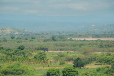 Uçsuz bucaksız, yeşil bir tarlada birkaç ağaç ve birkaç insan dolaşıyor. Gökyüzü bulutlu ve güneş görünmüyor.