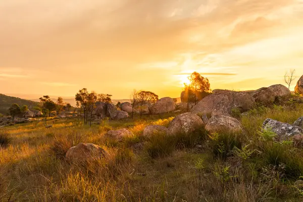 Güneşin arka plandaki manzarası granit kaya parçaları ve kayaların üzerine ve Avustralya 'nın Yeni Güney Galler bölgesindeki Tenterfield yakınlarındaki granit arazideki ağaçların arasına dağılmış bulutlu bir gökyüzünde batıyor..