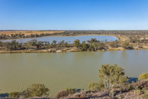 Sel zamanlarında bitişik bir lagünü olan Murray Nehri ve Güney Avustralya 'daki Waikerie' de akan sert, yarı kurak çevre, mavi bir gökyüzü zeminine sahip..