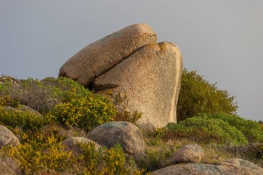 Etrafında daha küçükleri olan dev granit kayaların yanı sıra Güney Avustralya 'daki Fleurieu Yarımadası' ndaki Victor Harbor 'daki Kayalıklar' ın zirvesinde sarı çiçekli rüzgâra dayanıklı bitki örtüsü..