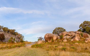 İki büyük yuvarlak granit kaya oluşumu bir yola bölünmüş ve Avustralya 'nın Yeni Güney Galler bölgesindeki Tenterfield yakınlarındaki Mackenzie Dağı' ndaki çayırlarda bazı ağaçlara ev sahipliği yapıyor..