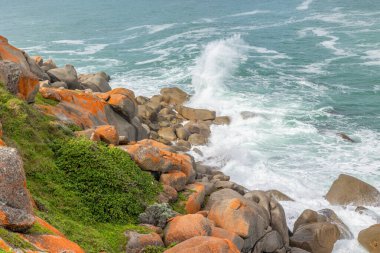 Granit kayaların altında, Granit kayalar ve turuncu yosunlarla kaplı dalgalar, Güney Avustralya 'daki Fleurieu Yarımadası' ndaki Victor Limanı 'ndaki Granit Adası' nın deniz yamaçlarını oluşturur..