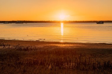 Günbatımının altın ışığı sakin sulardan ve Sünger Taşı Geçidi, Queensland 'deki gelgit mangrov köklerinden yansıyarak ılık, doğa ve huzurlu bir sahil manzarası yaratır..