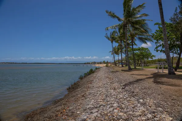 Popüler bir tropikal sahil şeridinde güçlendirilmiş kıyı şeridi, kıyıda Hindistan cevizi palmiyeleri olan ve Taylor 's Beach, Queensland, Avustralya' da bulunan sakin bir körfez üzerinde yer alan..