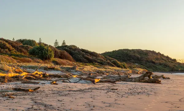 Yeni Güney Galler, Ballina 'daki Shelly Sahili' nde meydana gelen kasırga sonrası sabahın erken saatlerinde aşınmış bir sahil kıyıya sürüklenen ağaç kütükleri ve sel kalıntıları..