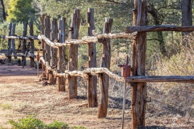 Çok eğri doğal dallardan yapılmış ahşap bir direk çiti. Avustralya 'nın Queensland şehrinde Charleville' de bir çiftlikte çeşitli eski, küçük tarım aletleriyle süslenmiş..