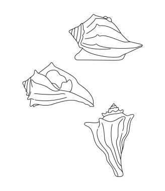  Küçük Ağız Bas Küçük Ağız Bas Ağız Bas Bas Bas