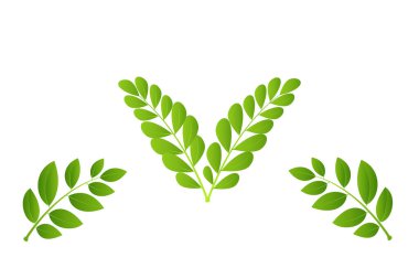 Taze Yeşil Yapraklar Doğa veya Sağlık Markası Tasarımı