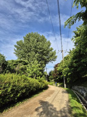 Gökyüzü ağaçları ve toprak geçit