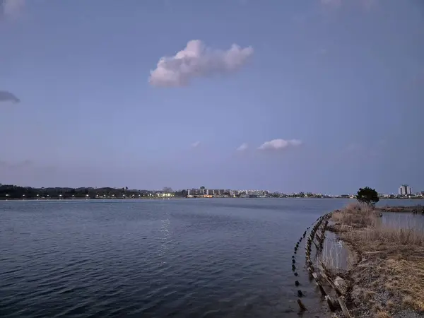 gökyüzü manzarası çiçek tomurcuğu ağaç doğa