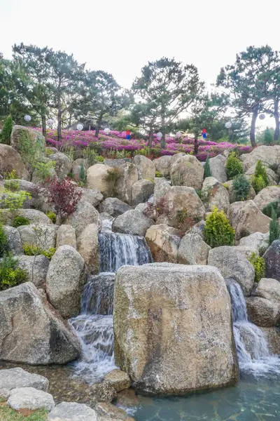 Kalın kayaların arasında güçlü bir şelalenin arkasında görülen mor açelya.