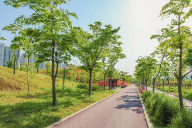 Yeşil bir park yürüyüş için harika, uzaklarda kırmızı çiçekler var..