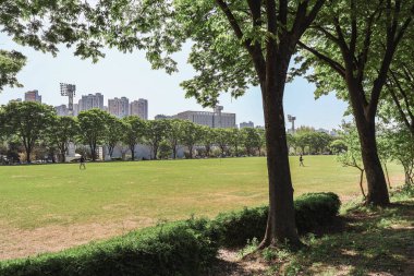 Mavi gökyüzü ve yeşil doğal park