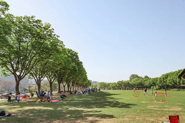 Mavi gökyüzü ve yeşil doğal park