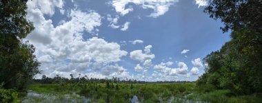 Bulutlu Mavi Gök 'ün altında Otlak Bataklık, Göl ve Ormanlı Bataklık Arazi