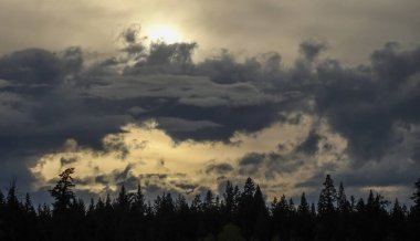 Akşam günbatımında dramatik bir şekilde siluetli bulutlar ve ağaçlar.