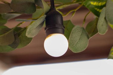 Işıl ışıl yeşil yaprakların arasında sarkan parlak bir ampul sıcak ve samimi bir ortam yaratıyor. Yumuşak ışıklandırma ve doğal elementler onu rahatlama, çevre dostu tasarım ve ev yapımı temaları için mükemmel kılıyor.