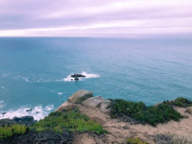 Okyanus manzaralı sahil uçurumu güneş batarken pastel gökyüzü altında, ön planda yemyeşil bitki örtüsü.