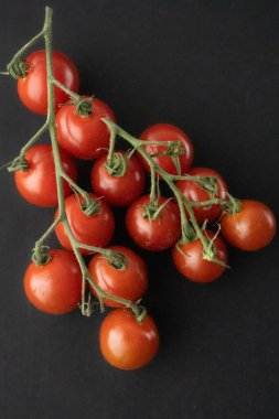 Sarmaşıkta canlı domatesler, siyah arka planda. Taze, sulu ve organik dokuları onları salatalar, yemek pişirme ve yemek fotoğrafçılığı için mükemmel yapıyor. Dikey. Yüksek