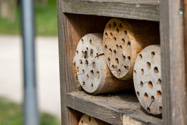 Closeup of an insect hotel made of wooden logs with holes. Natural habitat for bugs and pollinators. Eco friendly gardening element in rustic style.