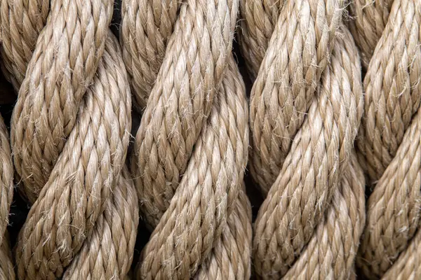 Kalın kıvrımlı doğal halat tellerine yakın çekim. Kenevir ya da kenevir halatlarının ayrıntılı dokusu, arka plan, deniz veya sanatla ilgili temalar için idealdir.