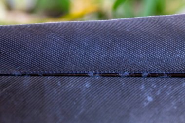 Detaylı doku ve ince paralel çizgileri gösteren koyu mavi bir tüyün makro fotoğrafı.