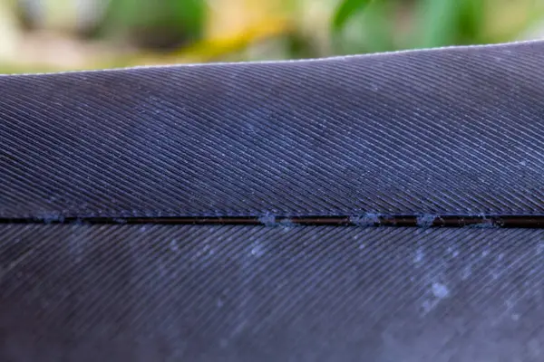 Detaylı doku ve ince paralel çizgileri gösteren koyu mavi bir tüyün makro fotoğrafı.