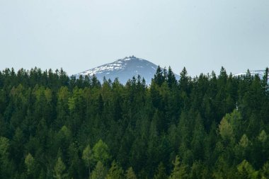 Berrak bir gökyüzünün altında sık ve yeşil bir ormanın üzerinde yükselen uzak karlı dağ zirvesi. İlkbaharda doğal manzara.