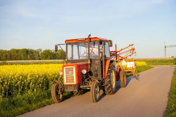 Kırmızı traktör kırsal yolda altın saat boyunca çiçek açan kolza tohumu tarlasının yanında sürüyor. Manzaralı kırsal alanda tarım makineleri.