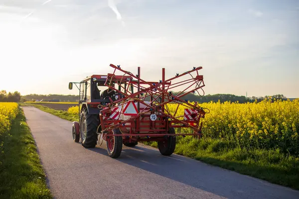 Tarım spreyli bir traktörün altın saat içinde açan kolza tohumu tarlaları arasındaki kır yolunda ilerlemesi..