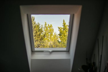 Parlak gün ışığı altında yemyeşil ağaçları gösteren modern bir tavan arası penceresinden bakın. Dışarısı barışçıl ve minimalist doğayla iç içe..