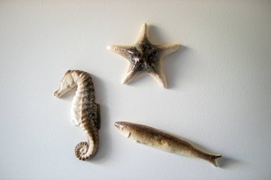 Dekoratif seramik deniz figürleri denizyıldızı, deniz atı ve beyaz bir duvarda balık. Minimalist kıyı temalı iç dekorasyon.