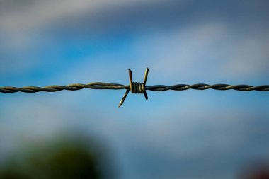 Dikenli telleri, yumuşak mavi bir gökyüzü arka planına yakın plan. Sınır, güvenlik, kısıtlama ve özgürlük kavramı.