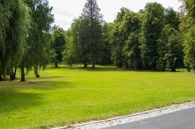 Geniş yeşil çayır. Huzurlu bir parkta verimli ağaçlarla çevrili. Bir yaz günü..