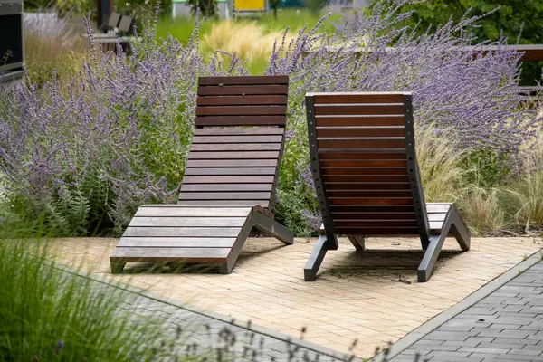İki modern ahşap şezlong asfaltlı bir alanda, halka açık bir parkta açan lavanta çiçekleri ve süslü otlarla çevrili..