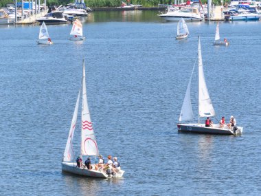 Genç denizcilerle dolu birden fazla yelkenli, güneşli bir günde limanın yakınındaki sakin mavi su üzerine bir yelkenli dersine katılıyor..