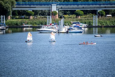 İki küçük yelkenli ve dört kişinin sakin mavi sularda olduğu kırmızı bir kano. Yatı, yeşil kamışları ve güneşli bir günde arka planda mavi bir köprü var..