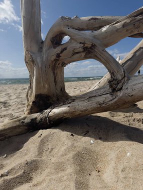 Deniz kıyısındaki ıslak kumların üzerinde sürüklendiğini hayal et. Sörf çizgisi, ufuktaki beyaz bulutlar.