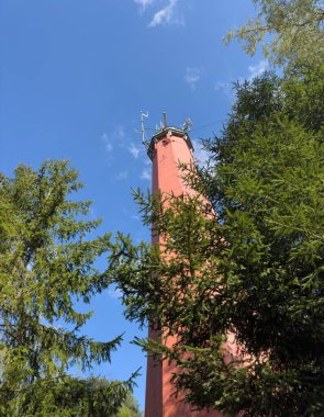Sahildeki deniz feneri Ormanın ortasında