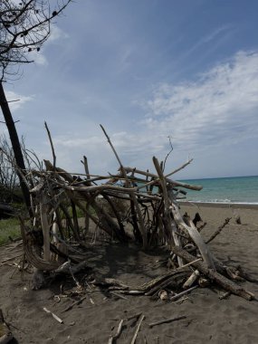 Sahilde ıslak kumda, ufukta sörf çizgisi olan bir sürü büyük balık.