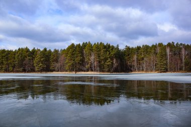 A frozen river stretches across the image, with a dense forest on the opposite bank. Tall evergreen trees, interspersed with bare deciduous trees, create a textured green and brown backdrop.