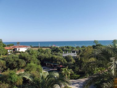 Yeşillik ve palmiye ağaçlarıyla çevrili yüksek bir yerden okyanus manzarası. Açık mavi gökyüzü sakin denizi tamamlar, uzaktaki bir sahil bölgesini bir anlığına görür..