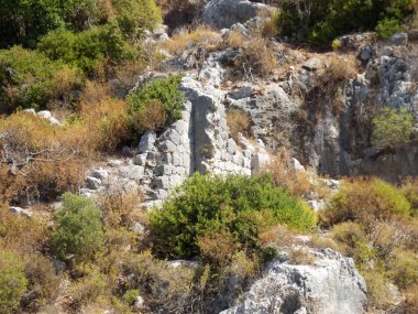 Aşırı gelişmiş bitki örtüsü ve kayalık araziyle çevrili antik bir taş yapının kalıntıları..