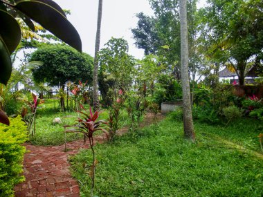 Etrafı canlı tropikal bitkiler ve ağaçlarla çevrili dolambaçlı tuğla yolu olan yemyeşil bir bahçe. Yeşillik boldur, dingin ve davetkar bir atmosfer yaratır..