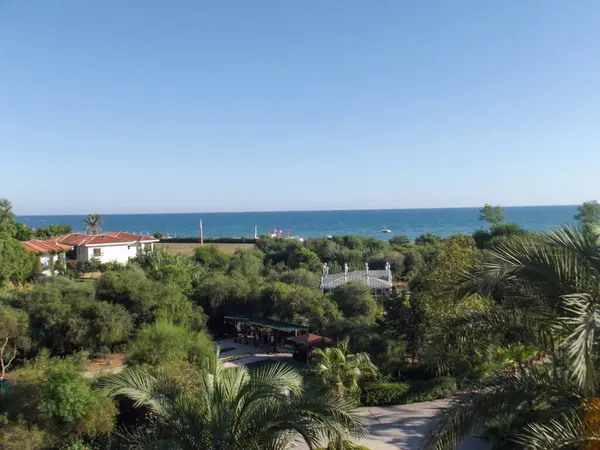 Yeşillik ve palmiye ağaçlarıyla çevrili yüksek bir yerden okyanus manzarası. Açık mavi gökyüzü sakin denizi tamamlar, uzaktaki bir sahil bölgesini bir anlığına görür..